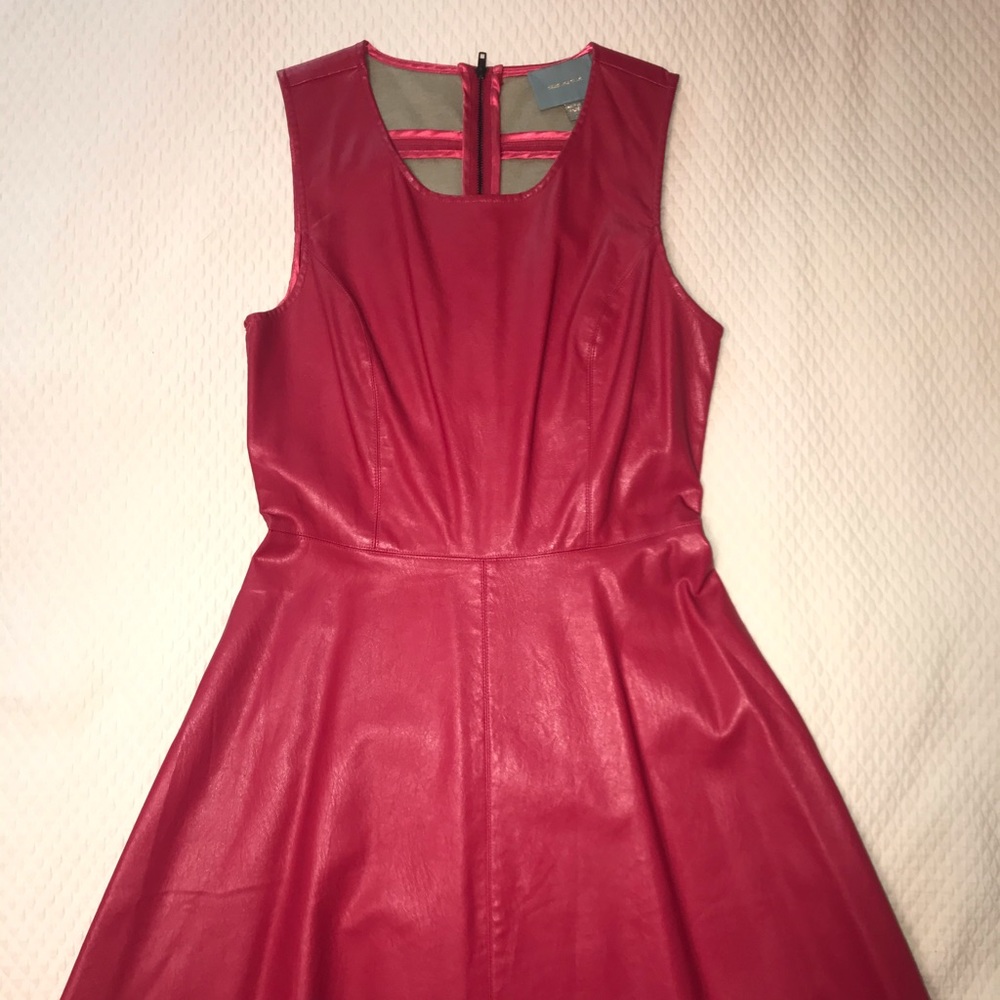Hot Pink Faux Leather Dress